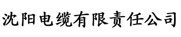 女总裁的神级保镖电缆厂logo